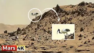 NASA Mars Rover Captured New 4K 360&deg; Footage of Mars SOL 1541! Perseverance Rover Footage Mars In 4K