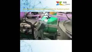 Automated vision inspection system for rubber gasket #machinvision #ccdinspection #opticalsorting