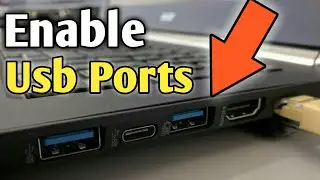 Enable Usb Port Windows | How To Enable Usb Port In Laptop | Laptop Usb Port Not Working | Usb Port