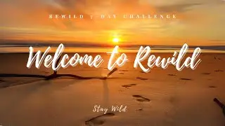 REWILD: Welcome to the 7-Day Challenge to Unearth your Creative Soul