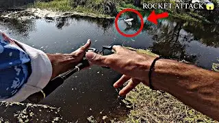 SNAKEHEAD ROCKET ATTACK 😱 ll झाड़ियों की शिकारी मछली