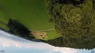 Treedancing 3