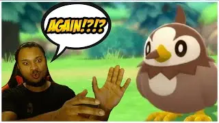NO WAY! WE DID IT AGAIN, ANOTHER SHINY PATCH AT 4!