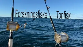 Tonfiske på Västkusten dag 1 2025