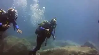 Try dive in Madeira with Azul Diving Center