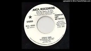Steely Dan - FM (No Static At All) 1978