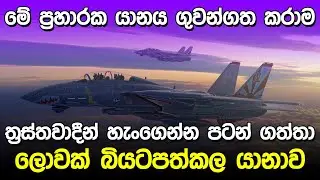 ත්‍රස්තවාදීන් බියටපත්කල ප්‍රහාරක යානාව | Grumman F-14 Tomcat |