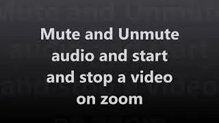 Mute,unmute and start and stop a video on Zoom