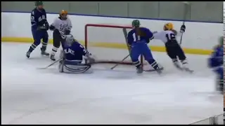 Breck upsets No. 1 Blake in girls hockey