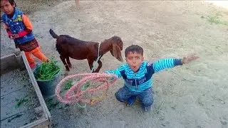 zufra Ko Itna Bada Rassa dal diya | Adil Charwaha