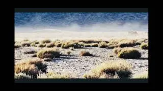 Where Horses Run Free: A Day at the Ranch in California 