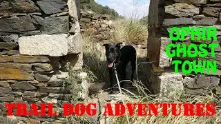 Ophir Ghost Town- Nevada