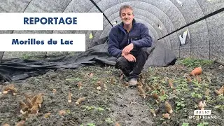 Reportage | Morilles du Lac