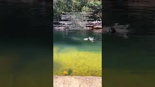 Save Kayak Orang Parno, Invest Kayak Orang Yakin