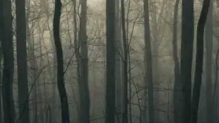 Requake - Tranquility