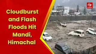 Mandi Cloudburst: Monsoon Havoc In Himachal Pradesh's Mandi, One Dead | Flash Flood | Heavy Rain