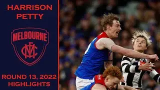 Harrison Petty - Round 13, 2022 | Highlights