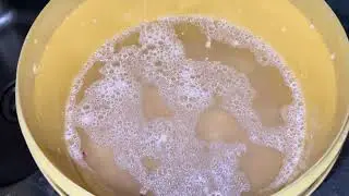 HOW TO MALT CORN AT HOME FOR BEER | HOW TO BREW CORN ! FOR CORN BEER 🇨🇲