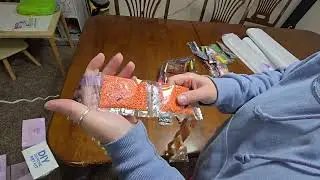 Dreamer Designs- Unboxing- Tiger on a Rock