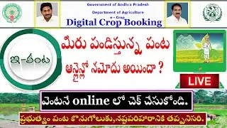 E-Crop Booking status in Online Telugu || e-Karshak Digital Crop Booking || ఇ- పంట నమోదు వివరాలు