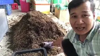 #22 | CÁCH TRỘN ĐẤT CĂN BẢN TRỒNG RAU SẠCH TẠI NHÀ