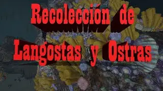 Recolección de langostas y Ostras Fabricar (Pegamento y Platos de cocina) | BDO