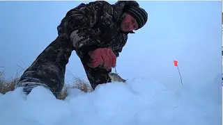 Ловля щуки зимой.