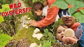 WILD MUSHROOM Foraging & RV Life in Washington | Camped at a Brewery!