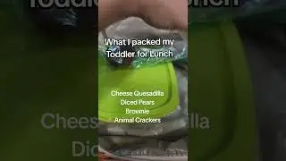 Toddler lunch ideas for picky eaters #toddlerlunch #pickyeater #spd #asd
