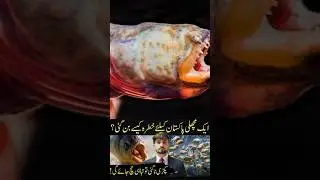 alien fish attack on Pakistan #alien #fishing #fish #attackontitan #pakistan
