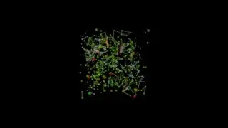 evobots - The predator-prey cycle evolves in a dense toroidal environment