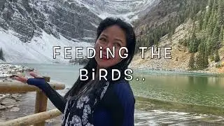Every single difficult step leads to beautiful destination at Agnes Lake Tea House   - part 2