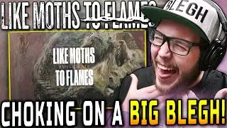 SUPER UNDERRATED!! Like Moths To Flames - Ameliorate (REACTION!!)