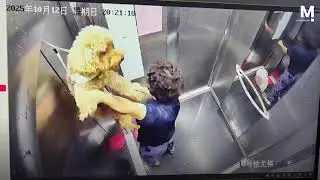 Elderly woman saves her dog after leash gets caught in elevator door - Watch