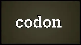 Codon Meaning