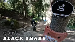LA PISTA DH DEL MONDIALE DA CIMA A FONDO - BLACK SNAKE