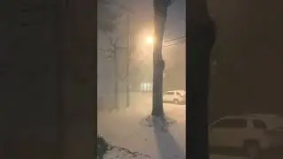Holiday Stormette