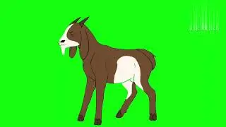 Cartoon Goat listening , talking , walking, shouting green screen |green screen video
