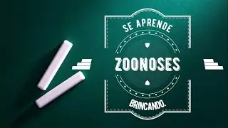 Apresenta&ccedil;&atilde;o da pr&aacute;tica pedag&oacute;gica E. E. Dep. Bady Bassit - Zoonose se aprende brincando