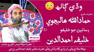 Wadi Galh 😳 & Hazrat Sain Hamadullah Halejvi rh Jan Ji | Essa Tanwari New Bayan | Bayan Sindhi New