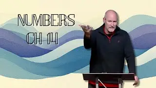 The Book of Numbers, Chapter 14: 'Another 40yrs of Leading Sheep in the Desert'
