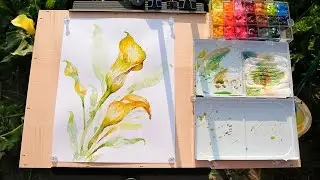 How to Paint Calla Lilies in Watercolor