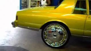 Whips at Arctic Customs