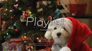 Playlist🎄겨울에 듣기 좋은 잔잔한 로파이ㅣ차분하게 틀어놓기 좋은 느좋 플레이리스트ㅣCozy Lofi Winter Music