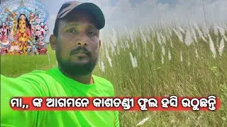 ଆସିନ ମାସ ରେ କାଶତଣ୍ଡୀ ଫୁଲ   ||  TALKING STAR HAPPY   ||