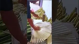 Handcrafted palm leaf fans: a detailed process
