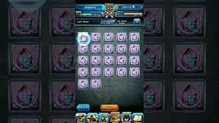 Maxed out Ultimate Paladin Roy