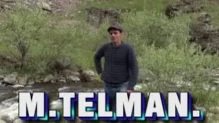 Dmanisi yavixli kendi