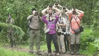 Birding in Uganda