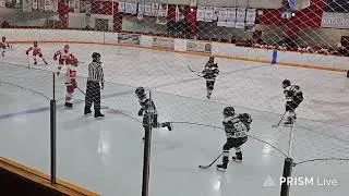 Nov 2. Hamilton Huskies vs Shamrocks U12B